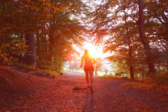 Sunset on a run